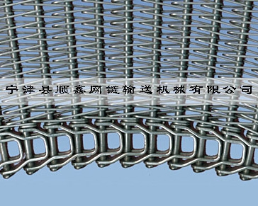 荆州冷冻传送式螺旋网带