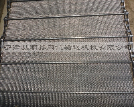 荆州人字型链条网带