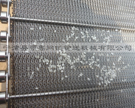 荆州大米清洗网带