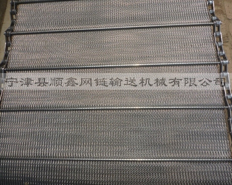 荆州人字型链条网带